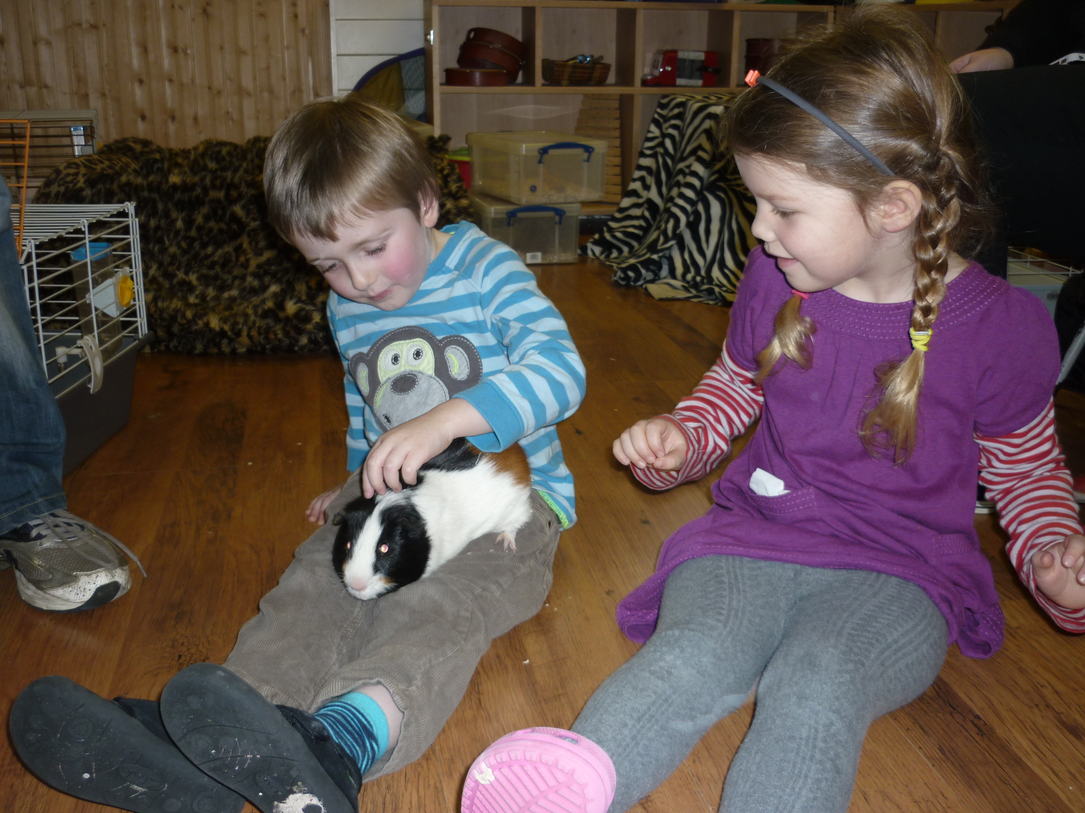 The Animal Man Came Today | Clarence House Nursery